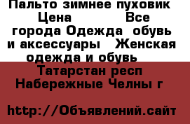 Пальто зимнее пуховик › Цена ­ 2 500 - Все города Одежда, обувь и аксессуары » Женская одежда и обувь   . Татарстан респ.,Набережные Челны г.